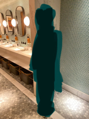 Bathroom Inspiration Please