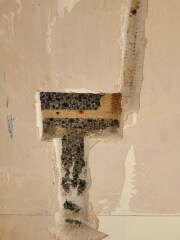 What is this in my wall?