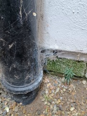 Insurance cover for outside drains?