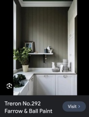 Olive/warm green paint