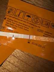 Anyone else in the TTW and like some company