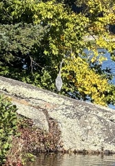 Come and tell me your dull and unexciting news 26: Calmly through the day 