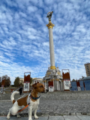 Ukraine Invasion: Part 45