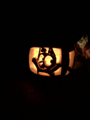 Show my your pumpkins