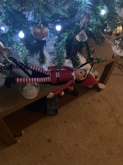 If your elf game is more half-arsed than Insta-worthy, sign in here...