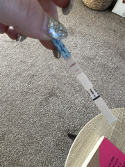 A line eye enthusiast #2