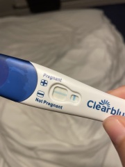 A line eye enthusiast #2