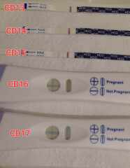8dpo Symptoms