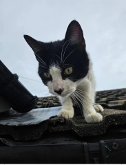 Uninvited guest, now what?