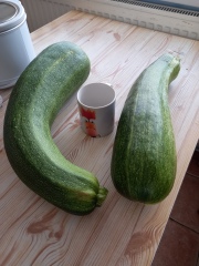 What to do with two enormous courgettes?