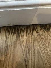 Mysterious damp?
