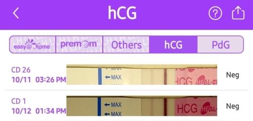 Pregnant straight after miscarriage with no period inbetween?