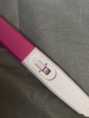 Pregnancy test