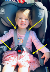 Ds (nearly 3) keeps escaping from his car seat