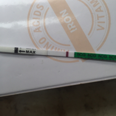 A line eye enthusiast #2