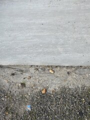 Is this paving done correctly