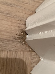 What is this at bottom of skirting boards?