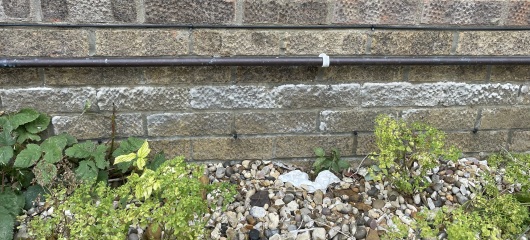Is this damp?