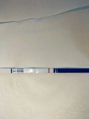 A line eye enthusiast #2