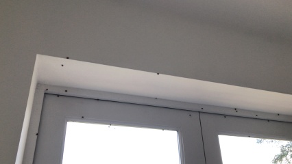 A plague of ladybirds