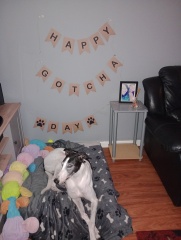 To ask you your dog’s name? Jff
