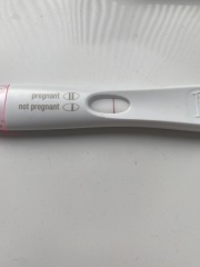 A line eye enthusiast #2