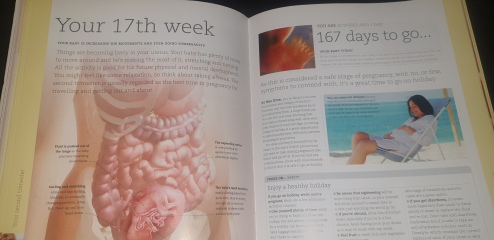 March 2024 second trimester onwards