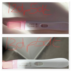Oct 2023 IVF Chemical????