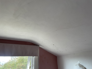 Help a novice decorate a damp, crumbling room!