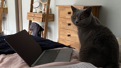 Thread 10 - TalkLair: “The candle flame gutters. Its little pool of light trembles.”