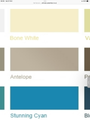 Splashback colours that go with cashmere coloured DIY kitchen