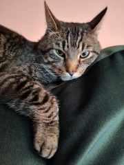 I've lost my 2nd boy in 4 months