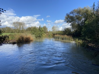 Cold water swimmers including sea, lakes and rivers