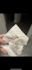 Need help, evap or not Implantation or not?!?