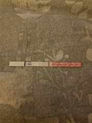 8dpo Symptoms