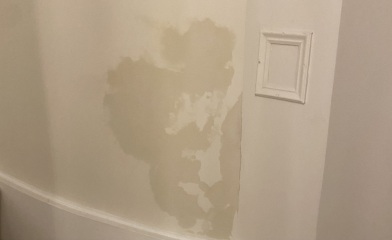 Wet walls due to dodgy roof - help!!!!