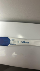 Geriatric gang 🤰part 2 