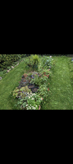 Meadow ideas / inspiration