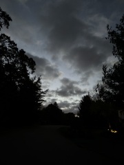 Come and tell me your dull and unexciting news 27: Calmly through the day