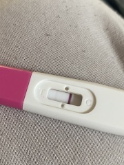 Pregnancy test