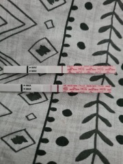 Due June 24?