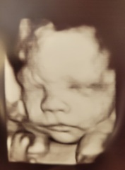 Due January 2024, Part 7!