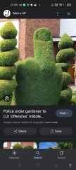 Neighbours chopped down their own trees but