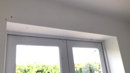 A plague of ladybirds