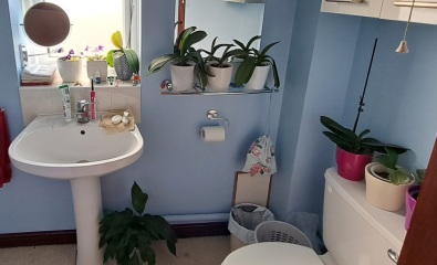Ensuite refit - pink fitted furniture (not sanitary wear)??