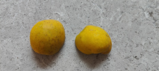 Is this quince? Photos