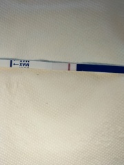 A line eye enthusiast #2