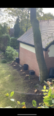 Neighbours chopped down their own trees but