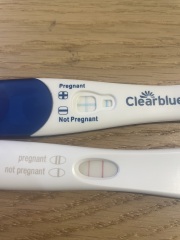 Trigger shot or pregnant?