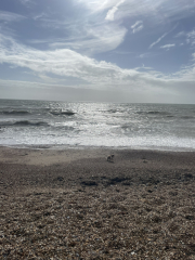 I'm having a weekend at the seaside ALL BY MYSELF!